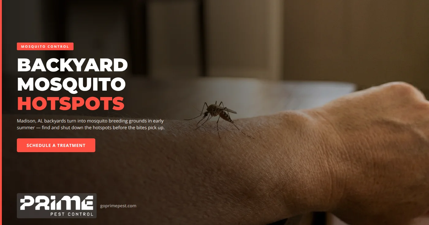 Backyard Mosquito Hotspots in Madison, AL