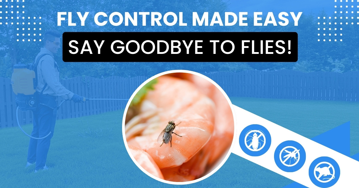 Fly Control Made It Easy Say Goodbye to Flies! | Prime Pest Control