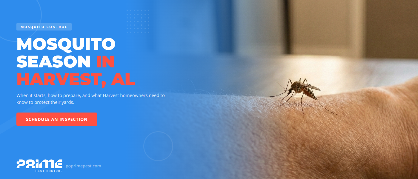 Mosquito Season in Harvest, AL - When It Starts and How to Prepare | Prime Pest Control
