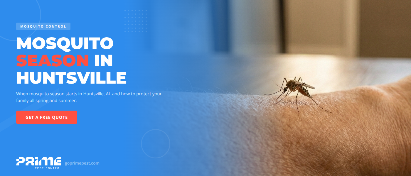 When Does Mosquito Season Start in Huntsville, AL? | Prime Pest Control