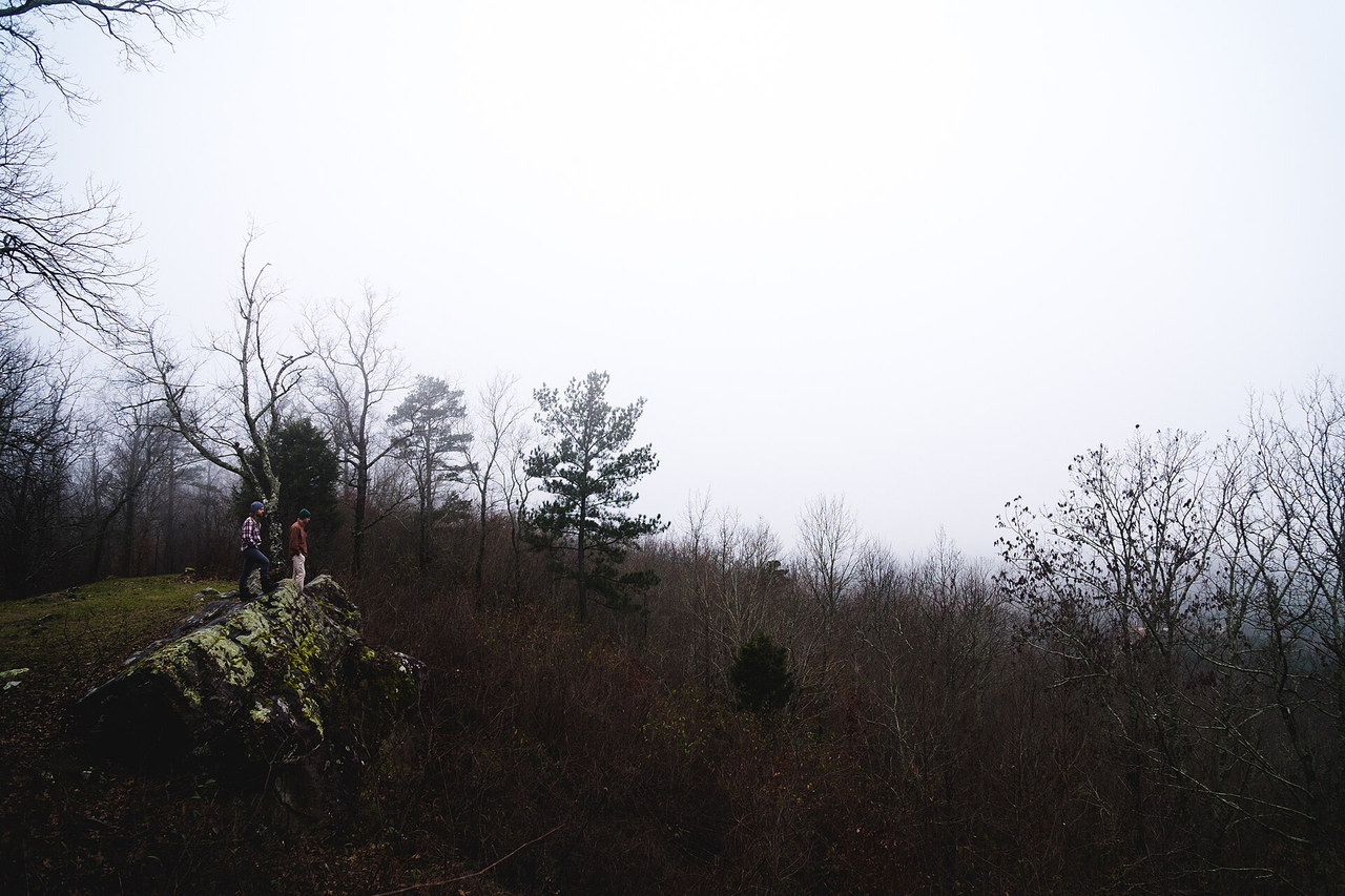 Wooded overlook at Oak Mountain State Park in Pelham, Alabama